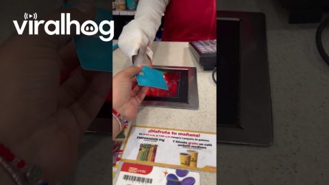 Fake Hand Causes Checkout Funnies || ViralHog