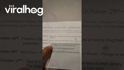 Realistic Expectations From School's Red Ribbon Week || ViralHog