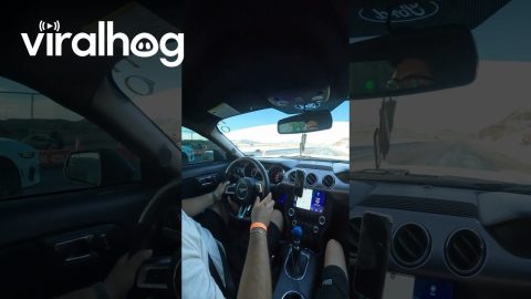 Gearshift Lever Falls Off While Driving Mustang || ViralHog