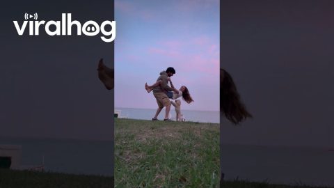 Dog Intrudes on Romantic Moment || ViralHog