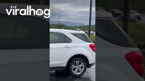 Chevy Gets Stuck in a Ditch After Attempting a Shortcut || ViralHog