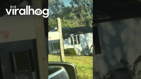 Car Crashed Vertically Through Home's Roof || ViralHog