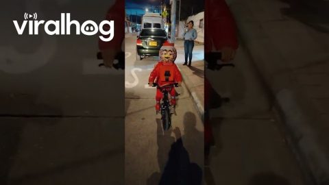 "Chicletera Bicicletera" Brainrot Halloween Costume || ViralHog