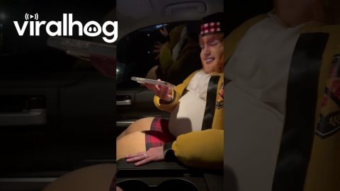 Dad Laughs Hysterically at Austin Powers Halloween Costume || ViralHog