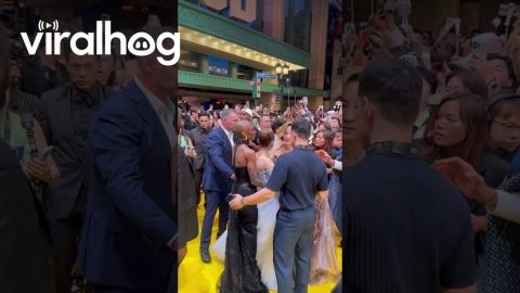 Fan Disrupts Wicked: For Good Movie Premiere || ViralHog