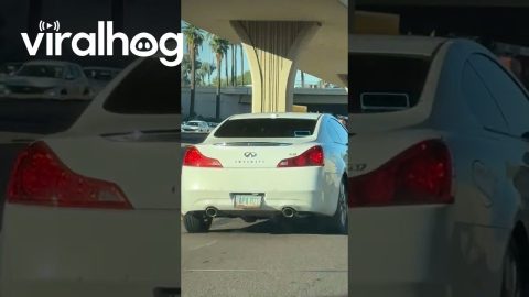 Phone Left Precariously on Moving Vehicle || ViralHog