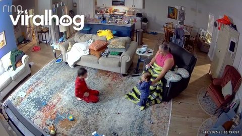 Kiddo Crawling on All Fours Startles His Family || ViralHog