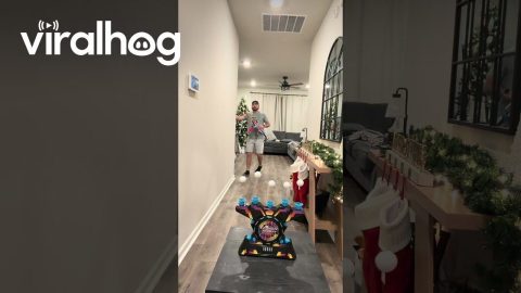 Foam Darts Hit Hovering Targets || ViralHog