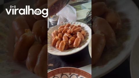 The Sauce Isn't Saucing || ViralHog