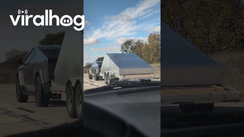Cybertruck Hauling Cybertrailer || ViralHog