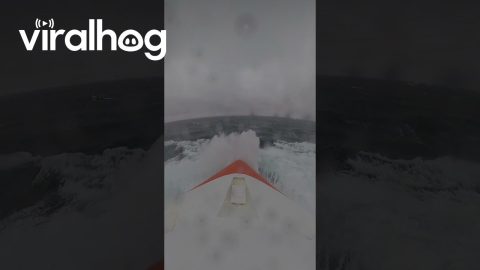 POV: You're A Ship On Rough Seas || ViralHog