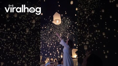 Chiang Mai Yee Peng Lantern Festival || ViralHog