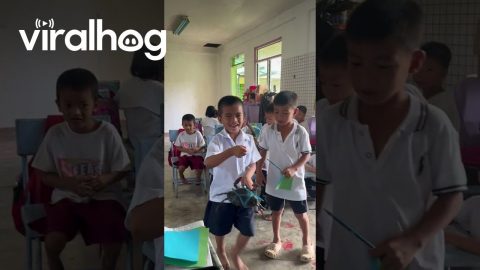 Student Gives His Teacher a Mud Crab || ViralHog