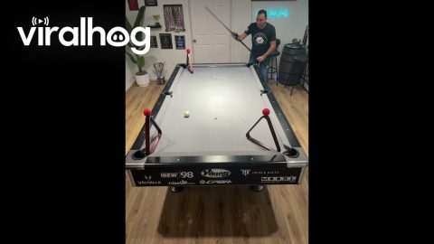 Rube Goldberg Pool Trick Shot || ViralHog