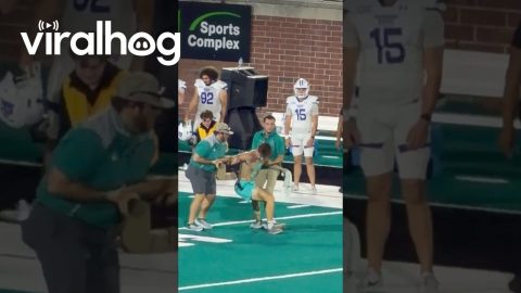 Streaker at Coastal Carolina Homecoming || ViralHog