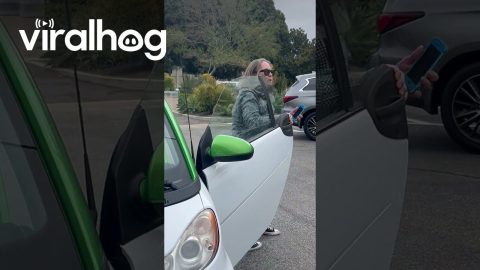 Two Wrong Parking Jobs Don’t Make a Right || ViralHog