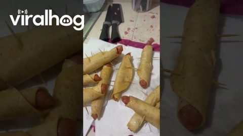 Unexpected Sausage Flauta Explosion || ViralHog