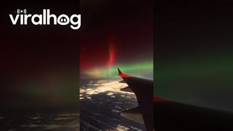 Northern Lights Seen From Flight Over the Midwest || ViralHog