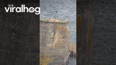 Mysterious Bicycles On Spokane River Pillars || ViralHog