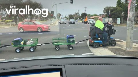 Wheelchair Pulling Train of Carts || ViralHog