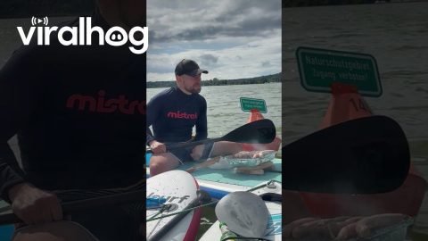 Barbequing Sausages On Stand Up Paddleboards || ViralHog