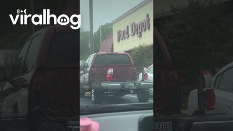 Boneless Truck || ViralHog