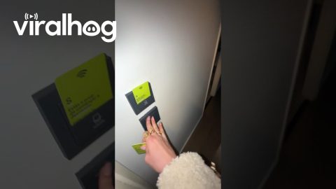 Hotel Room Already Occupied || ViralHog
