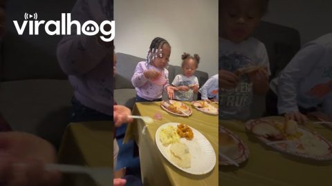 Little Girl Is Grateful for a Full Plate || ViralHog