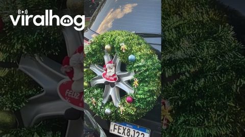 Spare Tire Become Christmas Wreath || ViralHog