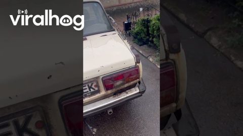Cosmetic Facelift on an Old Car || ViralHog