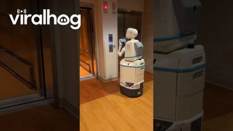 Hospital Robot Takes The Elevator || ViralHog