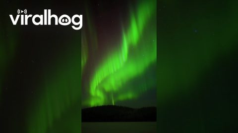 Strong Geomagnetic Storm Causes Intense Auroras Over Alaska || ViralHog