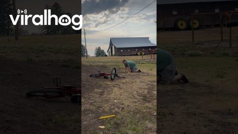 Man Regrets Asking His Wife to Film His Sick Jump || ViralHog