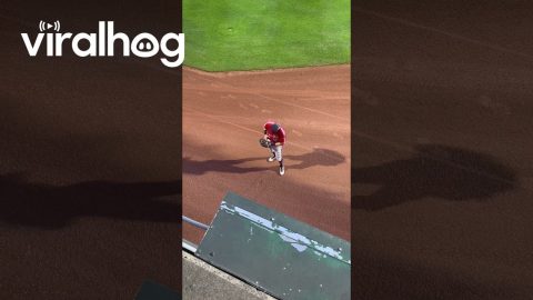 Dad Drops Daughter's Bottle Onto Baseball Field || ViralHog