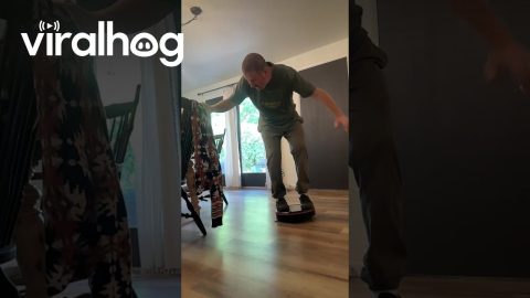 Roomba Kickflip || ViralHog