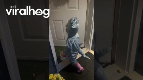 Toddler’s First Time Trick-or-Treating || ViralHog
