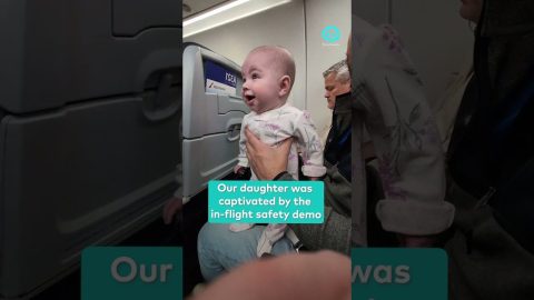 Baby Captivated by Flight Safety Demonstration || ViralHog Shorts