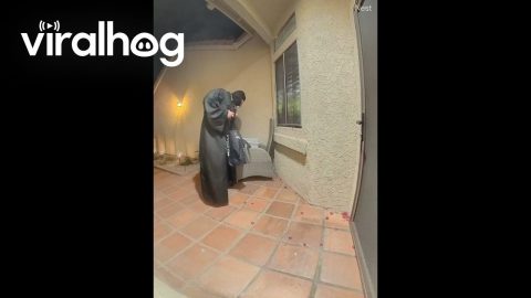 Trick-or-Treaters Follow Instruction to a T || ViralHog