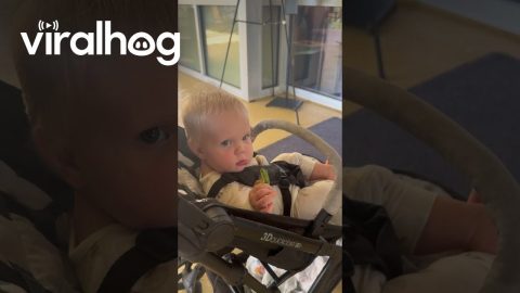 Baby Unbothered By Frog Jumping On Head || ViralHog