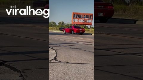 Casket Drives Itself Down Sidewalk || ViralHog