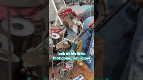 Puppeteer Playing Someone Playing the Drums || ViralHog Shorts