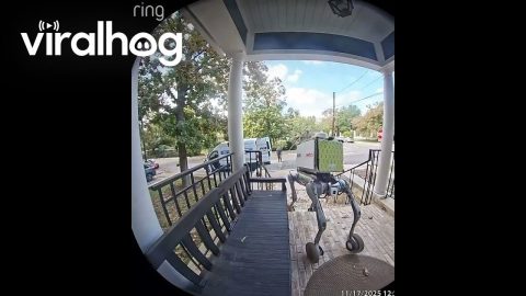 Delivery Robot Malfunction || ViralHog