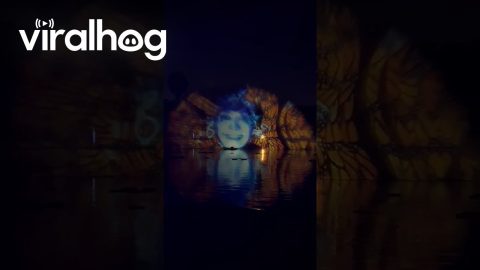 Public Art Exhibit Projects Faces on the Water || ViralHog