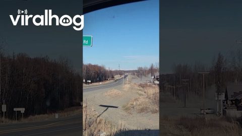 Plane Flies In For Lunch, Takes Off From Highway || ViralHog