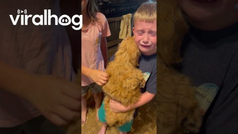 Tearful Son's Sweet Reaction To Surprise Puppy || ViralHog
