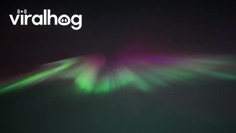 Intense Colorful Aurora in Alaska || ViralHog