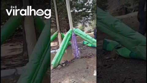 Rope Swing Excursion Fall || ViralHog