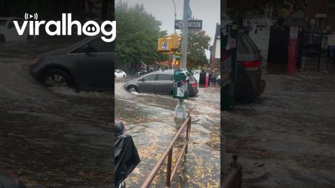 Flooding Turns Bushwick Into Waterfront || ViralHog