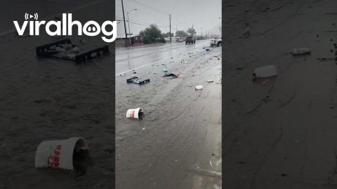 Las Vegas Flash Flood Taking Out The Trash || ViralHog