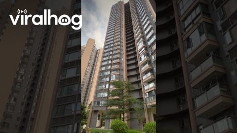 Monkey Climbs on High-Rise Apartment Complex || ViralHog